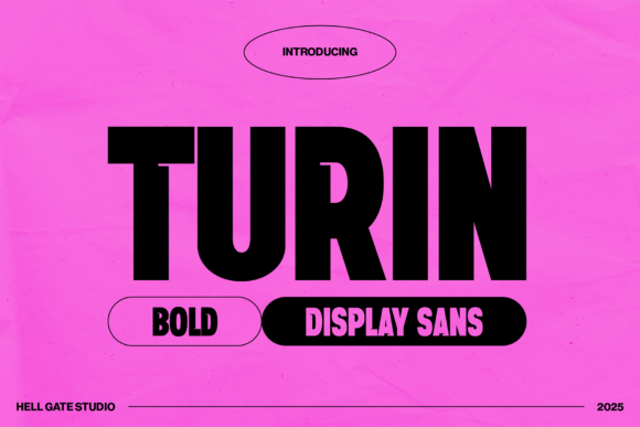 Explore Turin: A Bold Display Sans for Branding